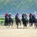 Türkmenistanyň Prezidenti Atçylyk Sport Toplumynda Baýramçylyk Çärelerine Gatnaşdy