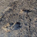 Lebap Welaýaty: Senagat Merkezi, Ruhy Gymmatlyklaryň we Tebigatyň Merjen Ýadygärlikleriniň Jemlenen Ýeridir