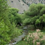 Türkmenistan Fotosuratlary 28