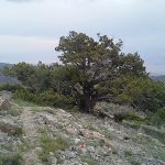 Köýtendagyň Gözel Ýerleri Fotosuratlary