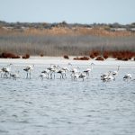 Türkmenistan Fotosuratlary 34