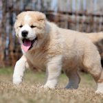 Türkmenistan Fotosuratlary 32