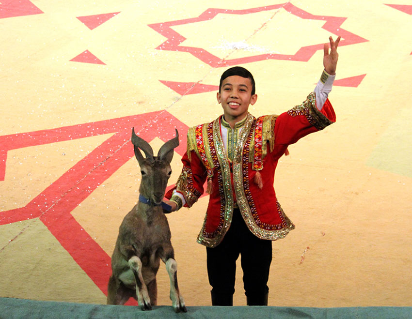 Türkmenistanyň Döwlet Sirkindäki Haýwanlaryň Arasynda Aşnajyk Atly Burma Şahly Umga Aýratyn Meşhurlyk Gazandy