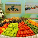 Oba Hojalygynda Ulanylýan Ýerleri Sebitleşdirmek Meýilnamasyna Laýyklykda Gök-Bakja Ekinleriniň Hasyly Ýygnalýar