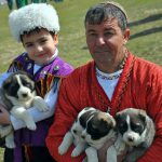 Türkmen Halkının Sevimli Köpeği Alabaý Fotosuratlary