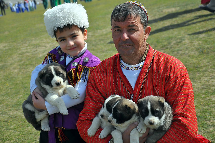 Türkmen Halkının Sevimli Köpeği Alabaý Fotosuratlary