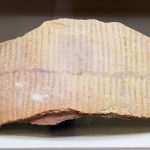 Döwlet Muzeýinde Ýerleri Emeli Usulda Suwaryş Medeniýetine Bagyşanan Sergi Açyldy