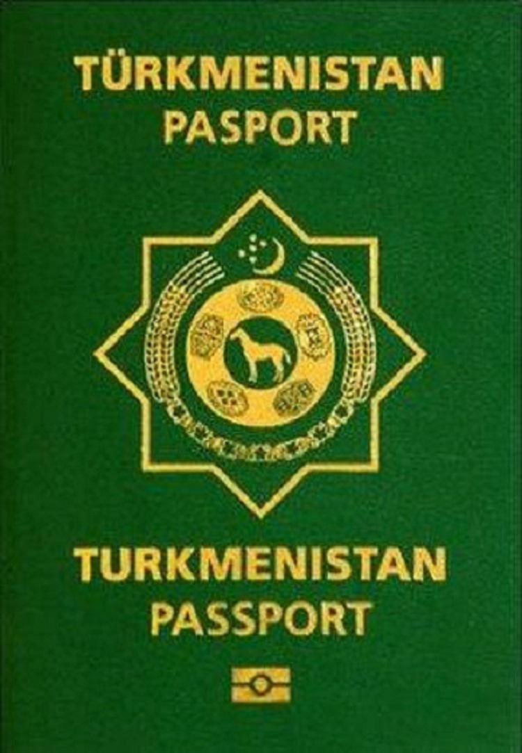 Daşary Ýurda Gitmek Üçin Biometriki Pasport we Gerekli Resminamalaryň Sanawy