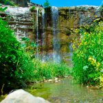 Daşky Gurşawy Goramagyň Bütindünýä Gününe Gabatlanyp Aşgabatda Halkara Ekologik Forumy Geçiriler