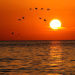 “Awaza” Milli Syýahatçylyk Zolagynda Hazar Deňziniň Güni Bellenildi