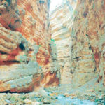 Köýtendag Baýlyk Eçilýär