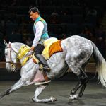 Türkmen Bedewiniň Baýramyna-Täsin Tomaşalar