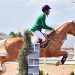 Türkmenistan Şöhratly Ahalteke Bedewleriniň Baýramyna Taýýarlanýar