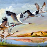 Döwlet Muzeýiniň Guran Sergisi Guşlara Bagyşlanýar